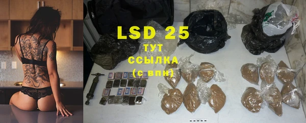 гашик Ельня