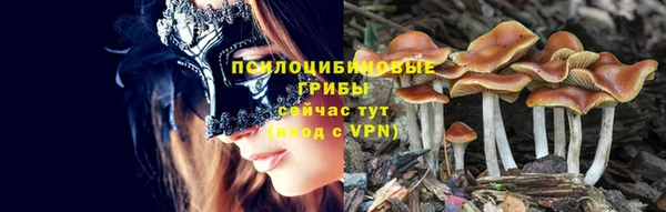 2c-b Елизово