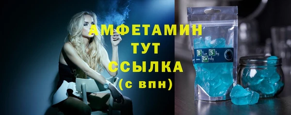 гашик Ельня