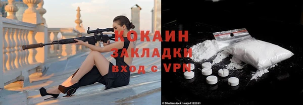 гашик Ельня