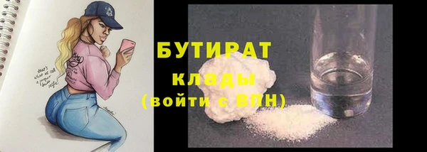 гашик Ельня
