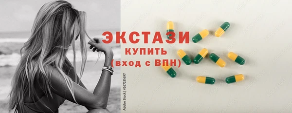 гашик Ельня
