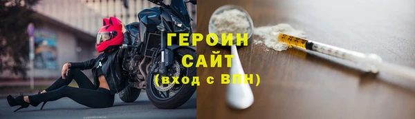 гашик Ельня