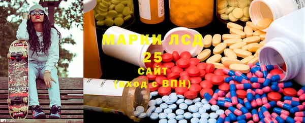 гашик Ельня