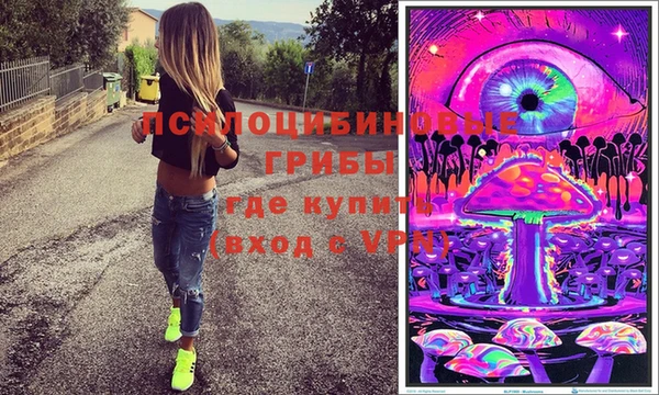 гашик Ельня