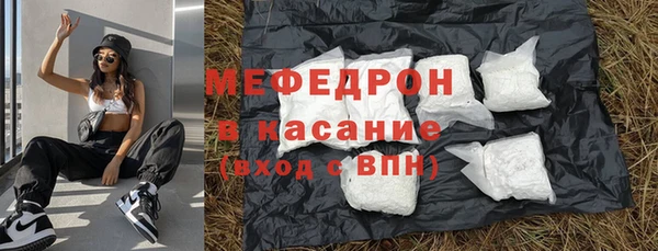 гашик Ельня