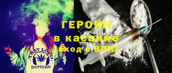 гашик Ельня