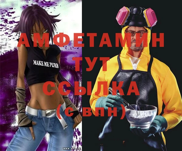 гашик Ельня
