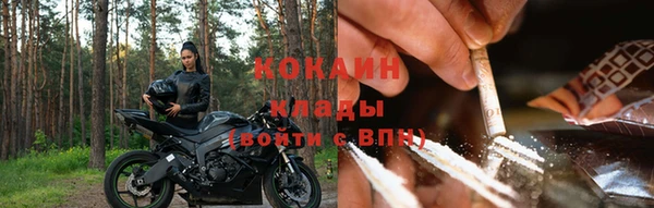 гашик Ельня