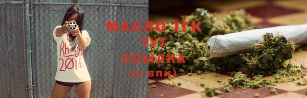 гашик Ельня