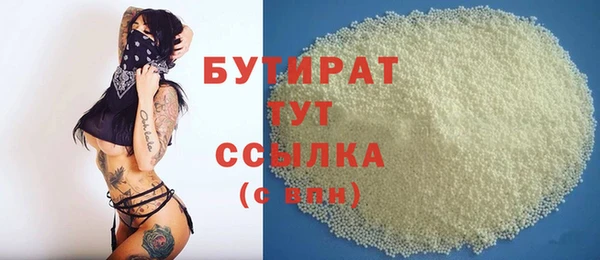 гашик Ельня